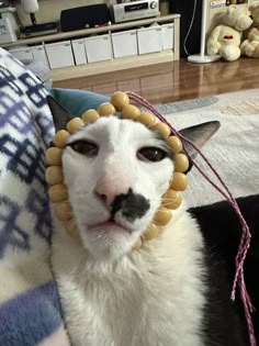 Innehåller en bild av: 